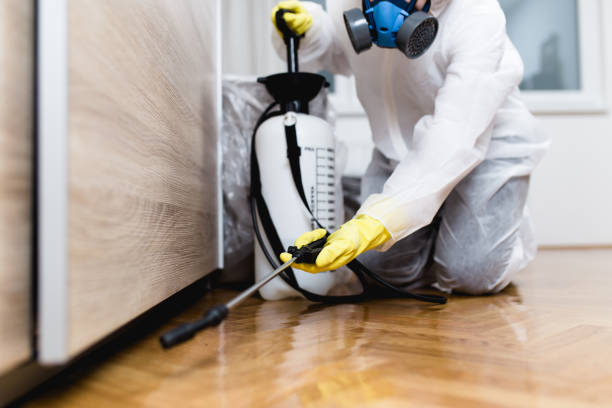 Best Pest Control Treatment  in Piperton, TN