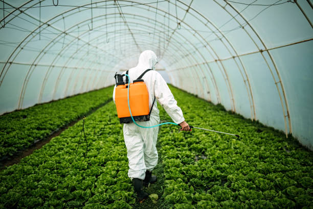 Best Best Pest Control Companies  in Piperton, TN