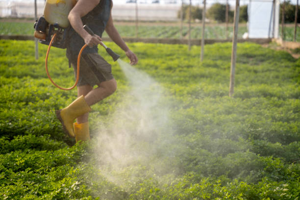 Trusted Piperton, TN Pest Control Experts
