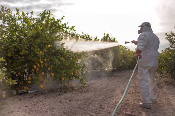 Piperton, TN Pest Control Company