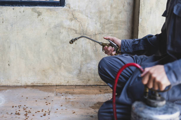 Best Rat Extermination Near Me  in Piperton, TN
